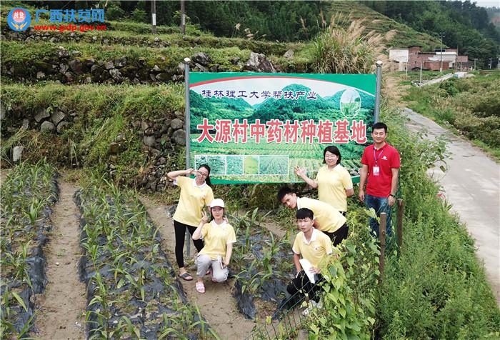 20190731457701.jpg 大源村第一书记田明浩争取后援单位桂林理工大学的帮助,建起了中药材种植基地1.jpg